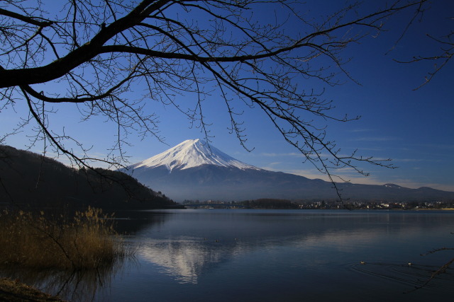 河口湖からの富士山