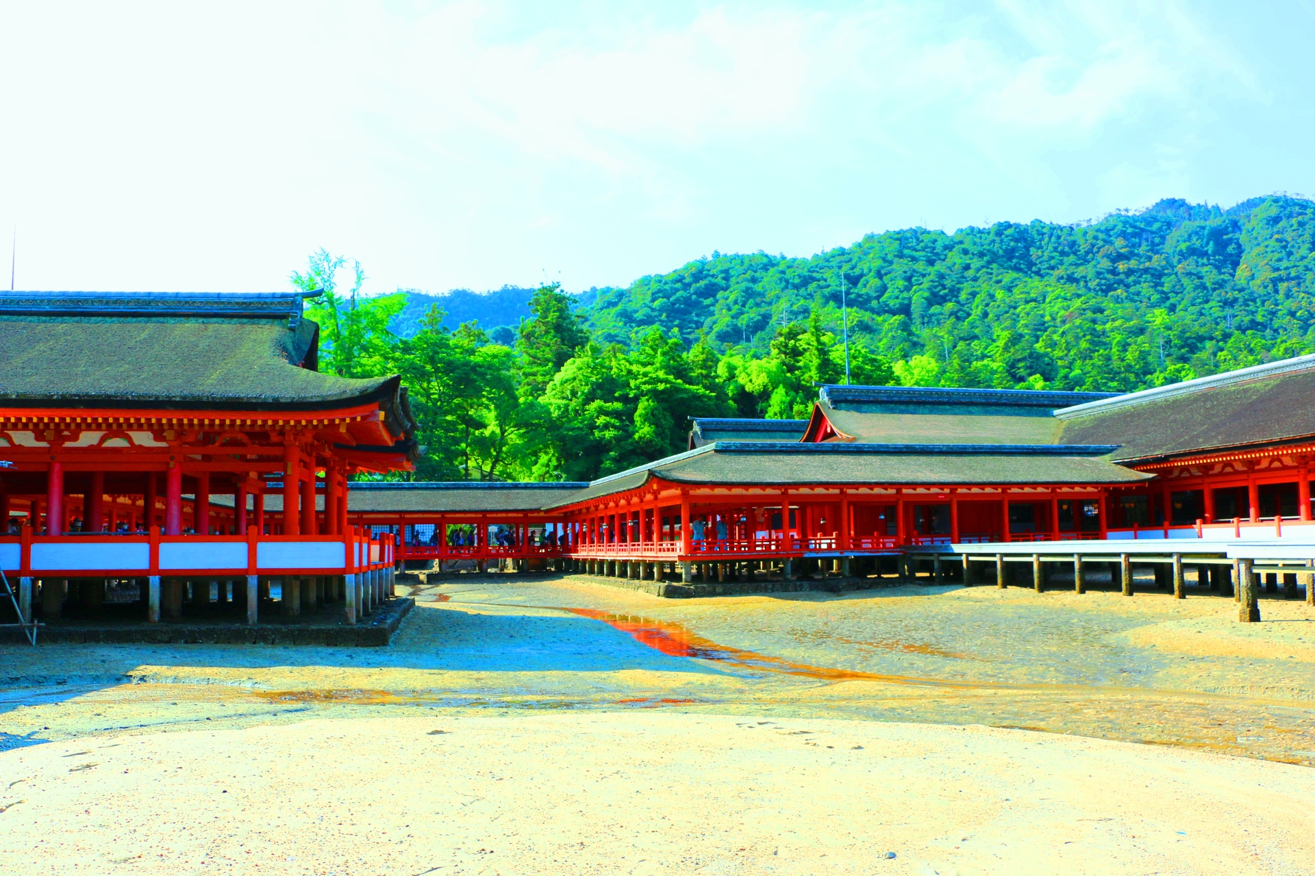 日本の風景 厳島神社 壁紙19x1280 壁紙館