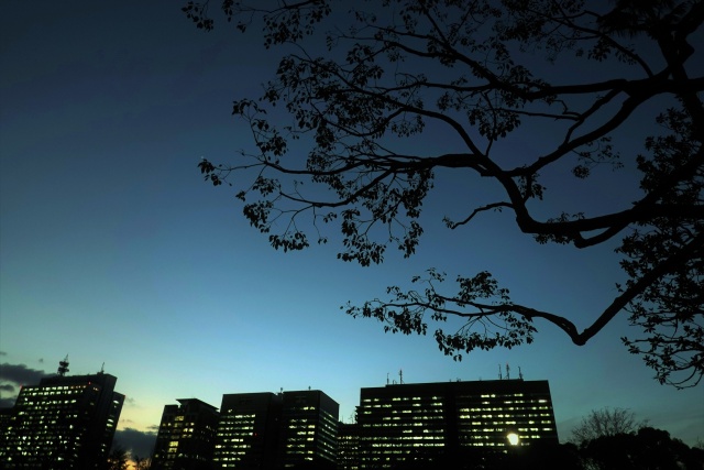 日比谷公園夕景