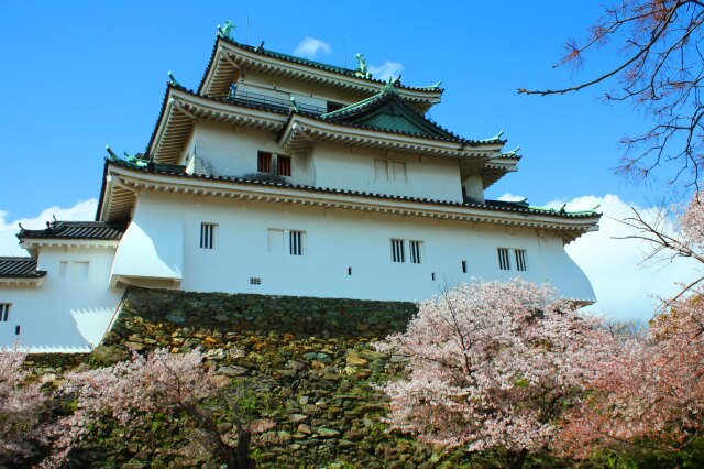 桜と和歌山城