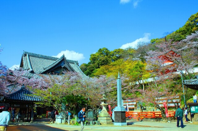 桜の紀三井寺