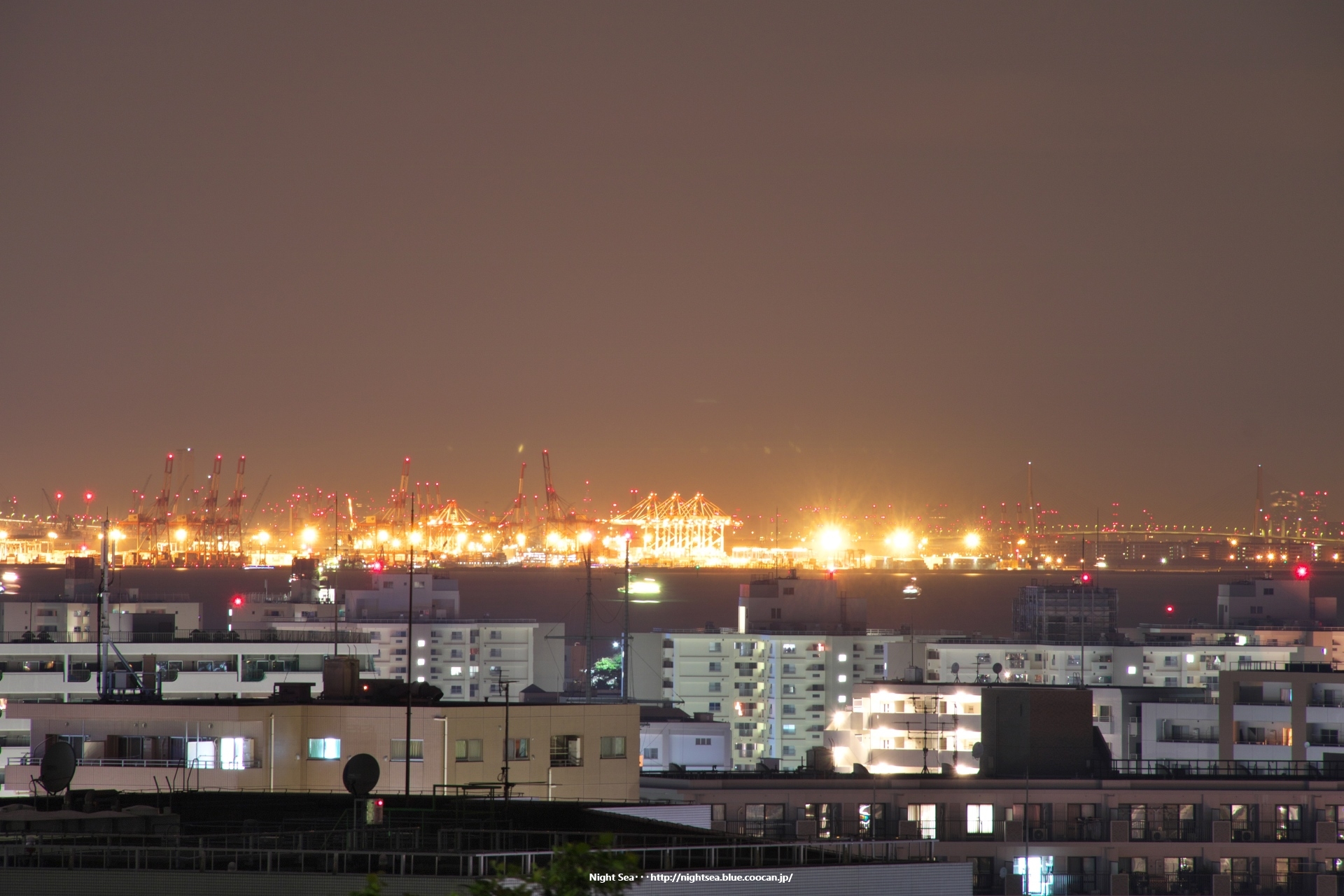 夜景 花火 イルミ 横須賀の夜 壁紙19x1280 壁紙館