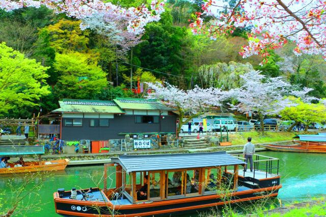 桜の嵐山