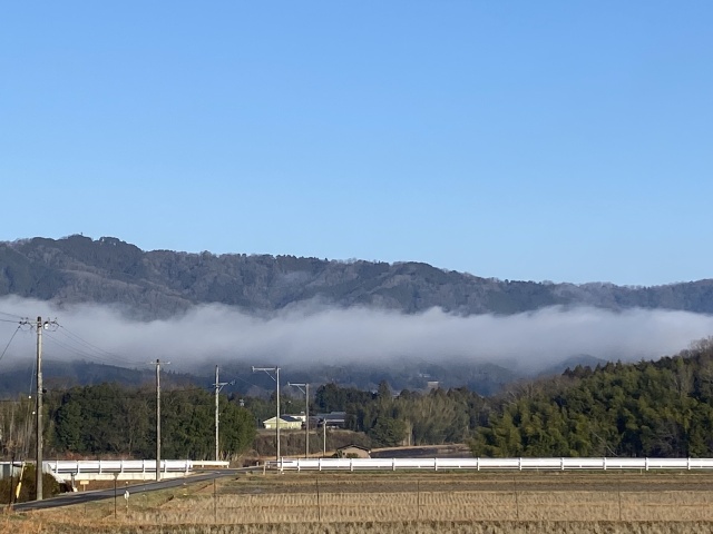 春の朝