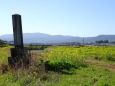 早春の風景