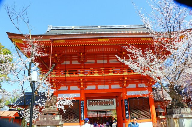 桜の八坂神社