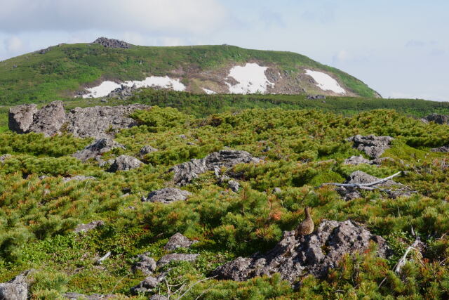 白馬乗鞍岳にて