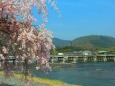 桜の嵐山