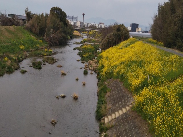 散歩道