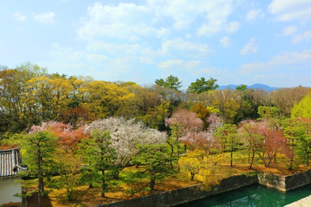 春の京都