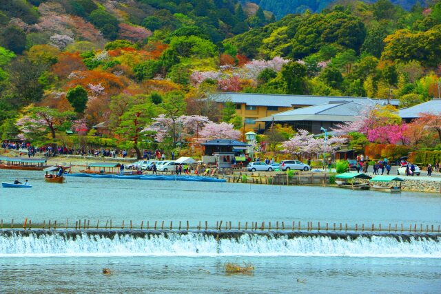 桜の嵐山