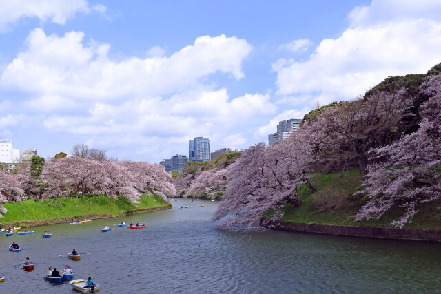 今年の花見は？