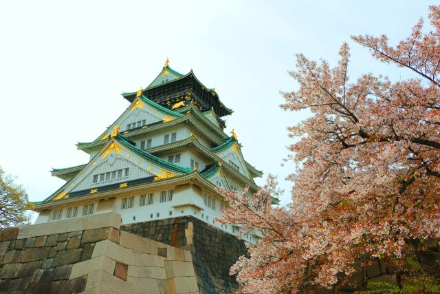 桜の大阪城