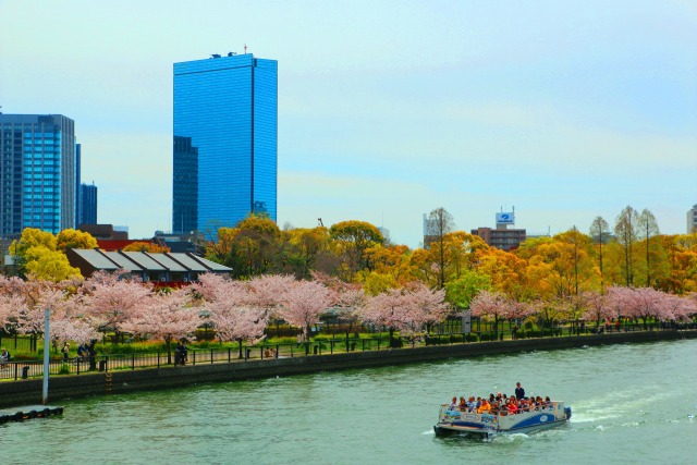 春の大阪城公園