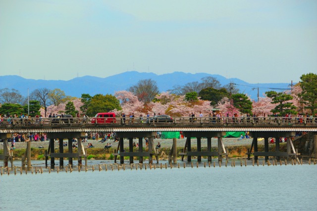 桜の嵐山