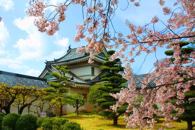 桜の和歌山城