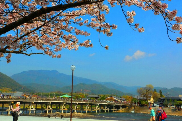 桜の嵐山