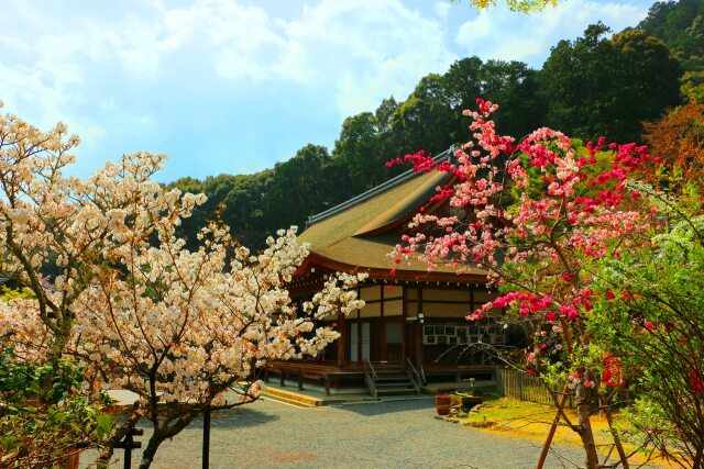 春の京都