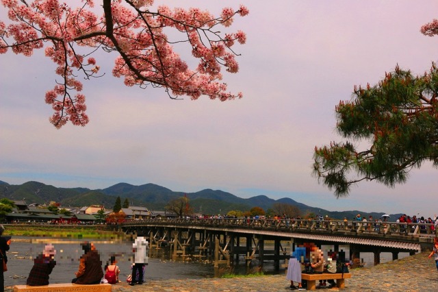 桜の嵐山