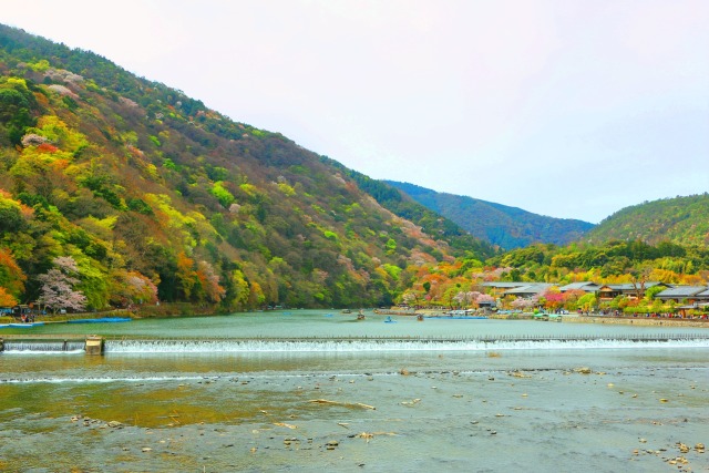 春の嵐山