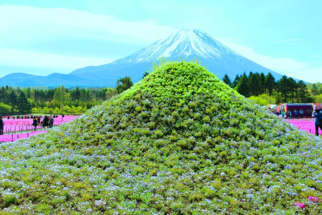 二つの富士山