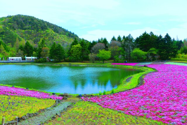 春の本栖湖