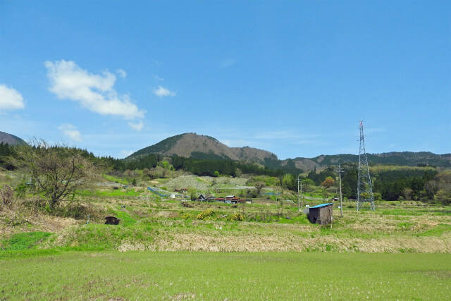 山里の春