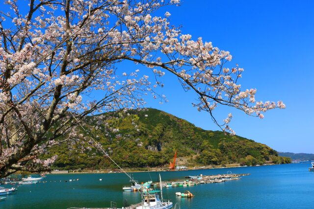 東紀州春の海