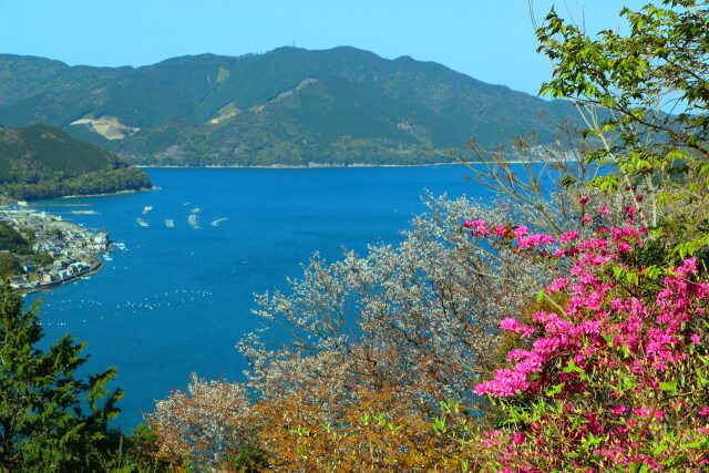 春の東紀州の海