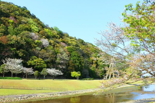 春の東紀州