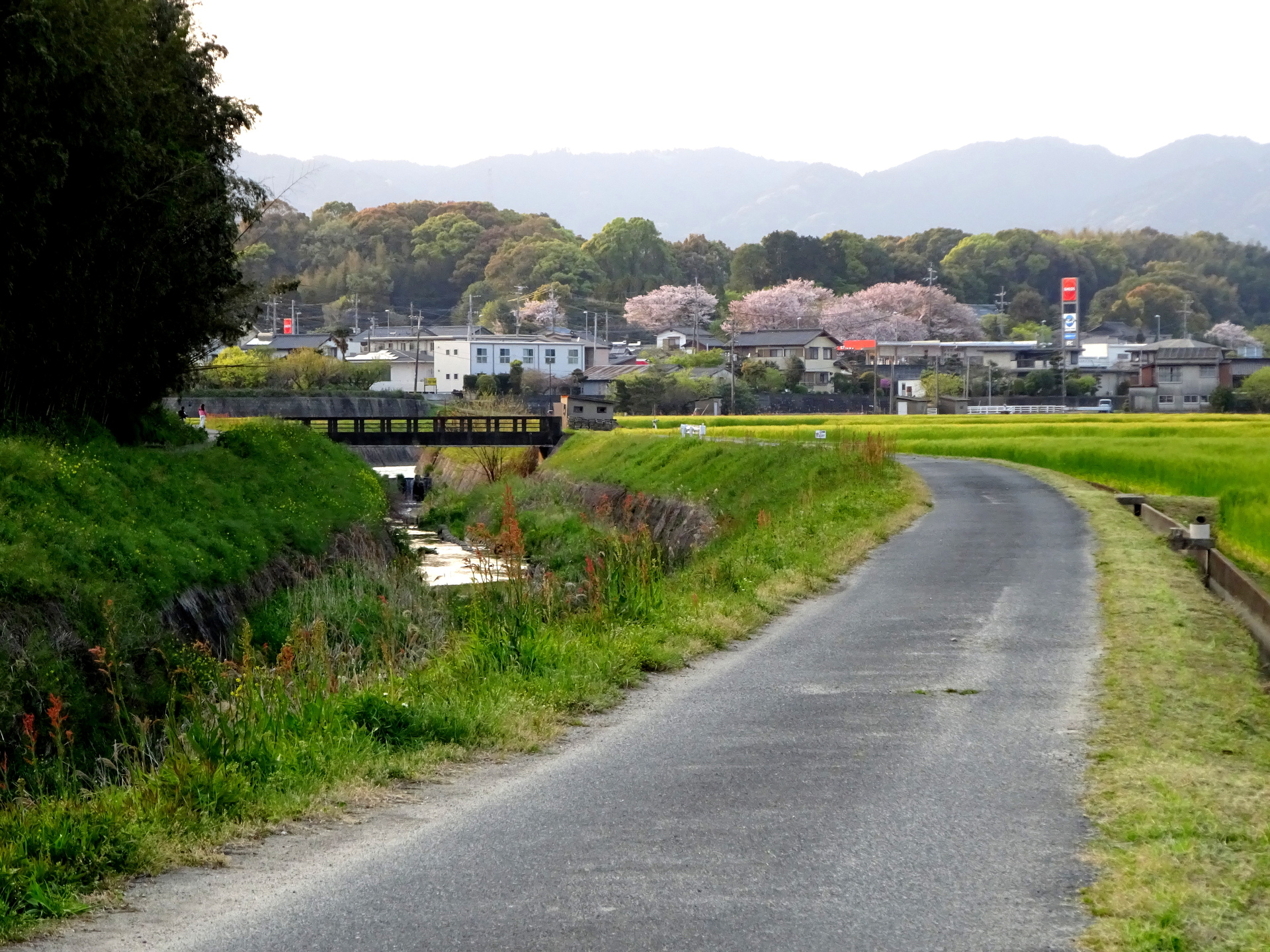 日本の風景 田舎町春の夕暮れ 壁紙19x1440 壁紙館