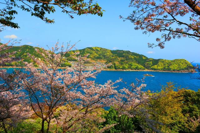 春の海