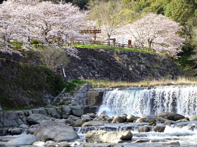 春のいぶき