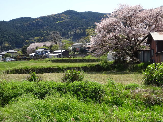 春の静かな昼下がり