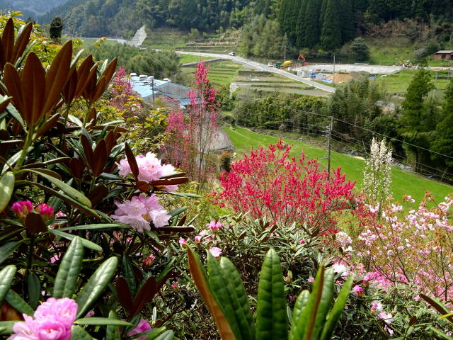 山の花園から県道52号線