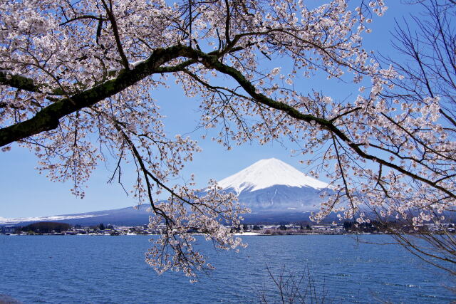 河口湖畔から