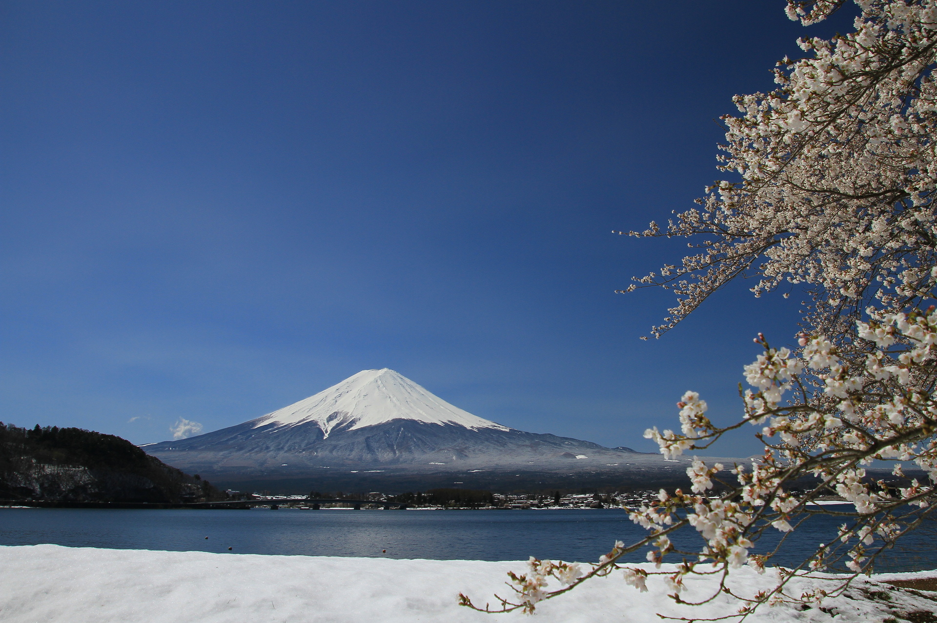 日本の風景 桜に雪と富士山 壁紙19x1277 壁紙館