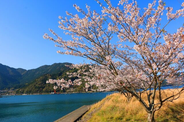 春の海