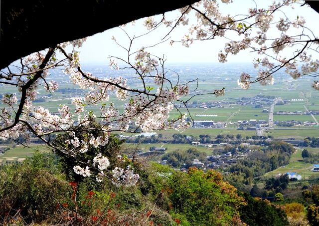 桜咲く山の公園から