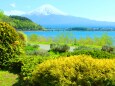 新緑と富士山