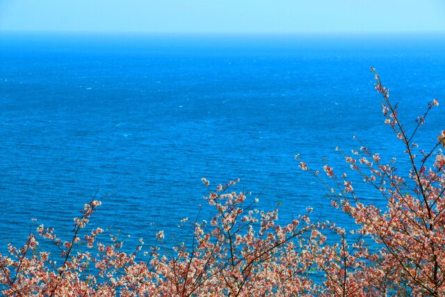 春の海