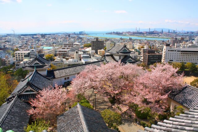 桜の和歌山城