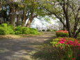 公園の遊歩道