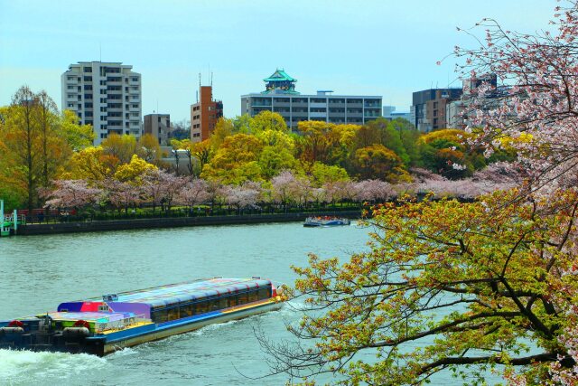 桜の大阪城公園