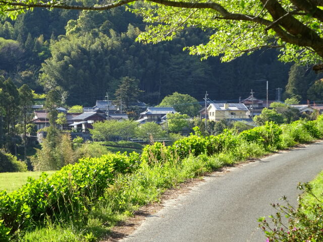 若葉の季節 山村集落