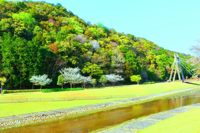 春の山