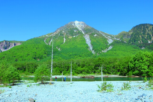 新緑の上高地