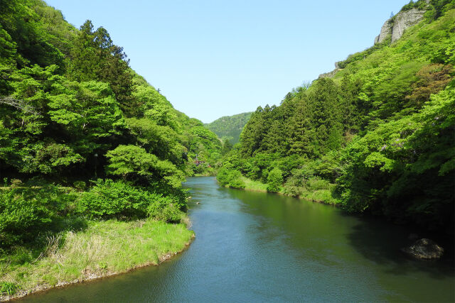 立久恵峡 新緑