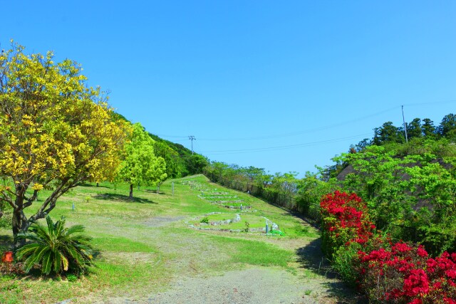 新緑の東紀州2020