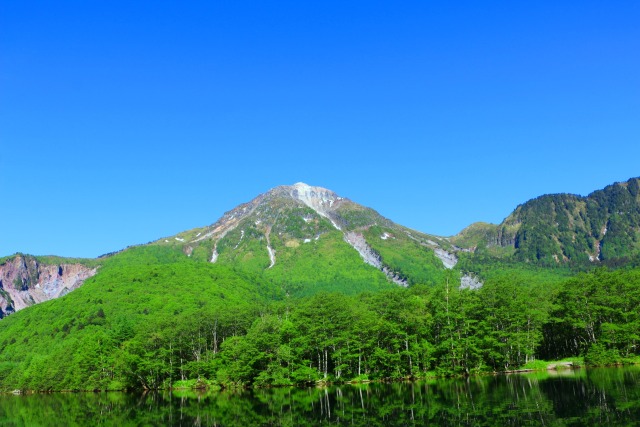 新緑の上高地